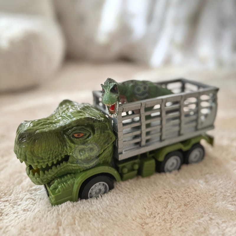 45542