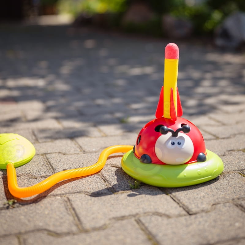 68254
